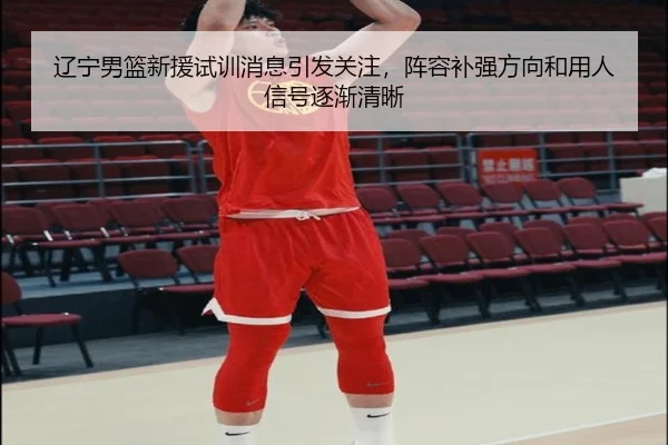 辽宁男篮新援试训消息引发关注，阵容补强方向和用人信号逐渐清晰